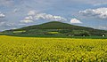 * Nomination Soisberg in the Rhön Mountains--Milseburg 21:42, 15 May 2017 (UTC) * Promotion Good quality. Would be nice to have the name of the cultivation and taxa name in the file description since the field occupies almost half of the picture --Moroder 21:56, 15 May 2017 (UTC)  Done I thought, it has been obvious that it´s rapeseed. --Milseburg 13:16, 16 May 2017 (UTC)  Comment Thanks, but, pardon me, nothing is obvious in WP ;-) --Moroder 17:34, 16 May 2017 (UTC)
