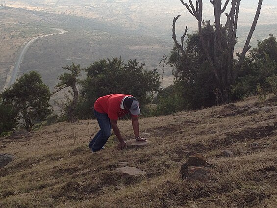 Climbing Ngong Hills