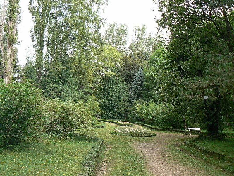 File:Stepanavan Dendropark 2011 3.jpg