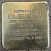 Struikelsteenglijbaan 7 (Ida Seligmann) in Hamburg-Rotherbaum.jpg