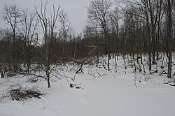 Stone Run, kışın donmuş