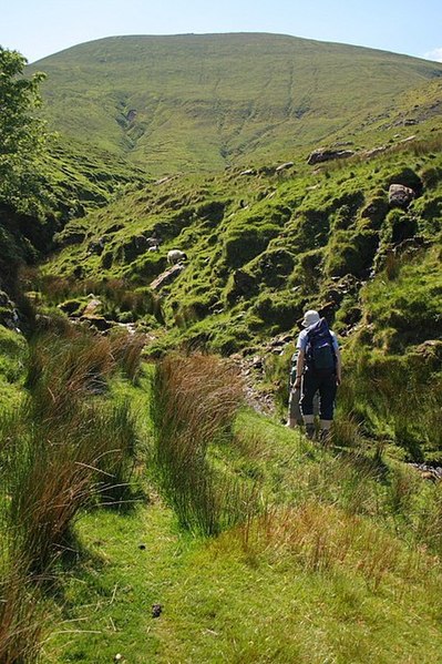 File:Stream Bed - geograph.org.uk - 827875.jpg