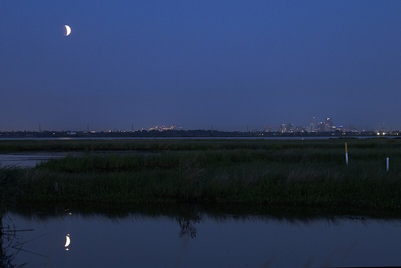 File:Super Flower Blood Moon over New Orleans (MAF 20210526 SuperFlowerMoon08).jpg