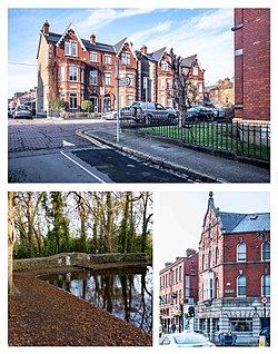 Much of Terenure features red brick Victorian and Edwardian architecture. Bushy Park is a prominent local amenity.