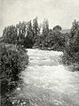 The River Jordan, near its Source. Underwood & Underwood. 1910.jpg