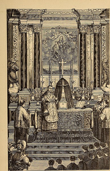 File:The life of Pope Pius IX.. (1877) (14578572220).jpg