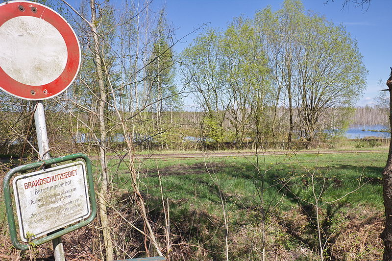 File:Totes Moor im LSG Schneerener Geest vor Neustadt am Rübenberg IMG 6811.jpg