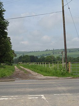 Track to Cat and Fiddle farm 2008 - geograph.org.uk - 821635