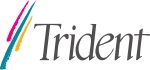 Trident Microsystems