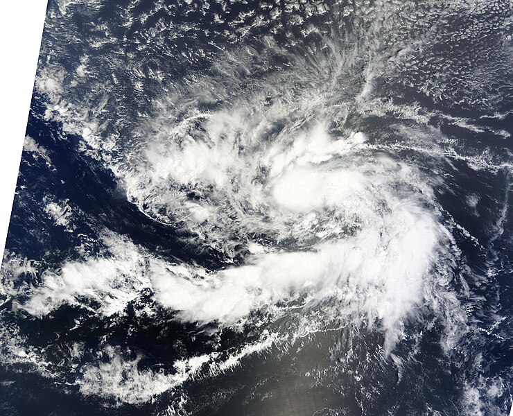 File:Tropical Depression Fourteen 090611 1255 UTC.jpg