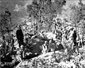 Loi-Kang Ridge의 475보병 2대대 (1945년 1월 19일)