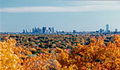 Boston's skyline in the background, with fall foliage in the foreground