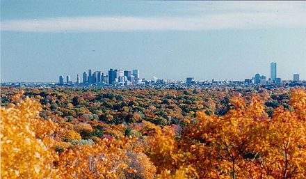 Boston's skyline in the background with fall foliage in the foreground