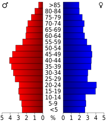 File:USA Staunton city, Virginia age pyramid.svg - Wikimedia Commons