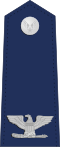 US Air Force O6 Shoulderboard.svg