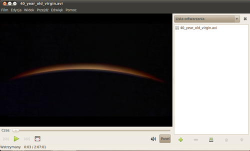 Ubuntu 10.04 totem5.png
