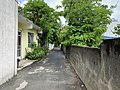 Una calle en Pamplemousses (marzo de 2020) - 1.jpg