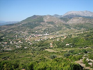 <span class="mw-page-title-main">Lezhë County</span> County of Albania