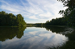 Река Виша, 2 км к югу от д. Баландино