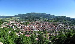 Skyline of Waldkirch