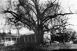 backside of the house circa 1870. Walnut Hall c. 1870, rear.jpg