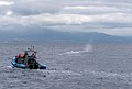 Image 705Whale watching boat following Sperm whale (Physeter macrocephalus), São Miguel Island, Azores, Portugal