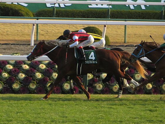 競馬 誘導馬（阪神競馬場 2005年W.S.J.S仕様）ゼッケン-