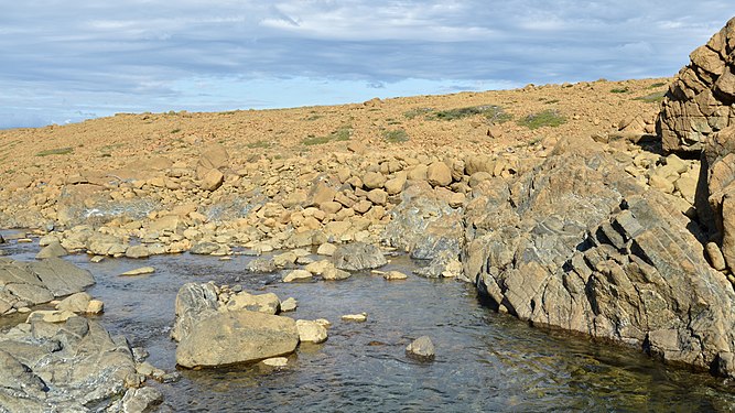 Winter House Brook