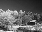 Frost on branches (Image made using infrared photography techniques)