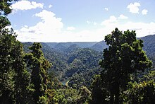 View of the rain forest and Johnstone River from the Mamu Tropical Skywalk, 2017 Wooroonoon Park (Mamu Skywalk) promenade a hauteur de la canopee de la Rain Forest.jpg