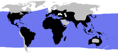 plavo: morske kornjače, crno: kopnene kornjače