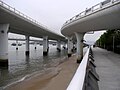 Yanwu Bridge in Xiamen