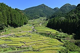 Thousand Rice Paddies of Yotsuya