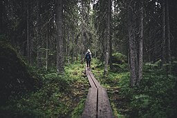 På Öjen finns en 4,5 km lång naturstig.