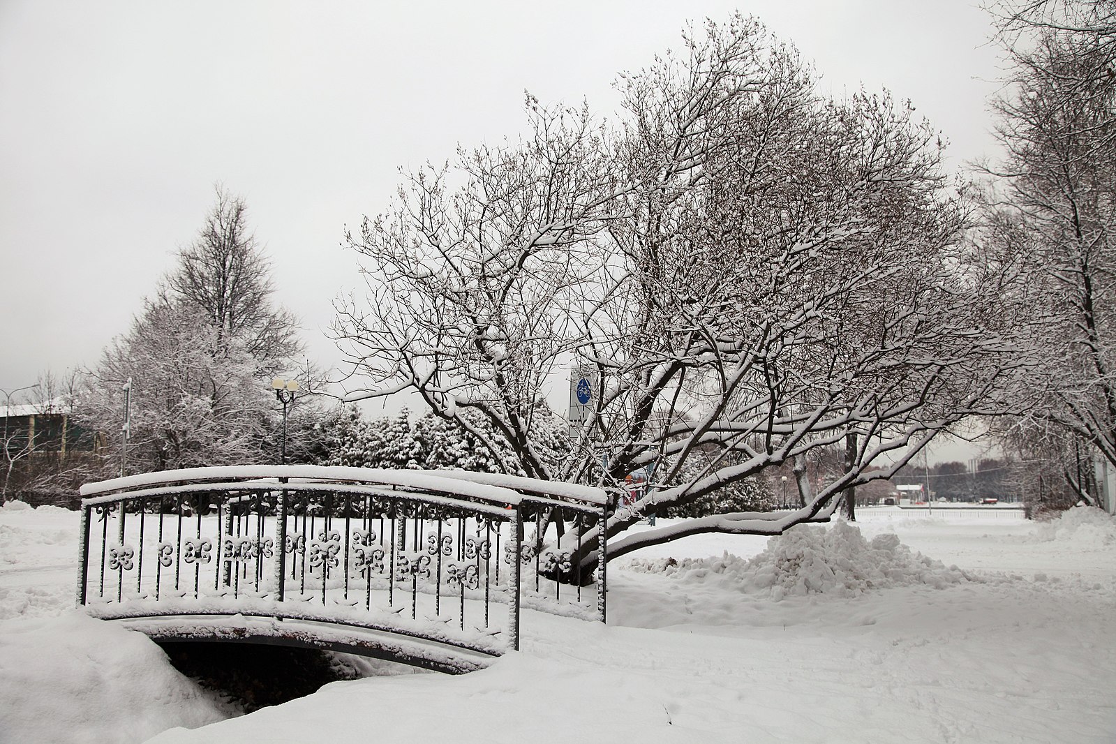 Измайловский парк зимой москва