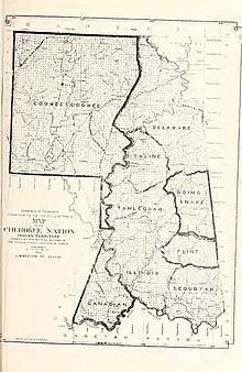 Map showing the locations of the Canadian, Cooweescoowee, Delaware, Flint, Goingsnake, Illinois, Saline, Sequoyah, and Tahlequah Districts of the Cherokee Nation in Indian Territory. On the eastern boundary from north to south are Delaware, Going Snake, Flint, and Sequoyah.