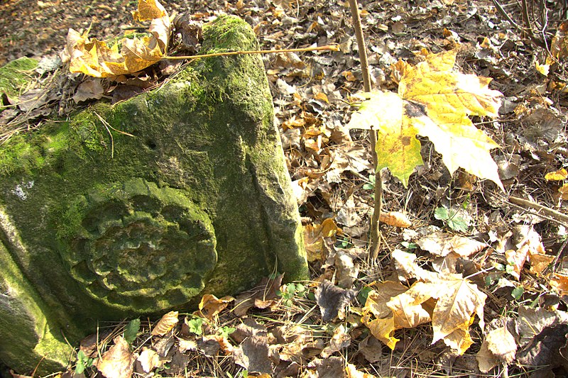 File:-L1470653 Cmentarz żydowski w Janowie Jewish cemetery in Janow.jpg