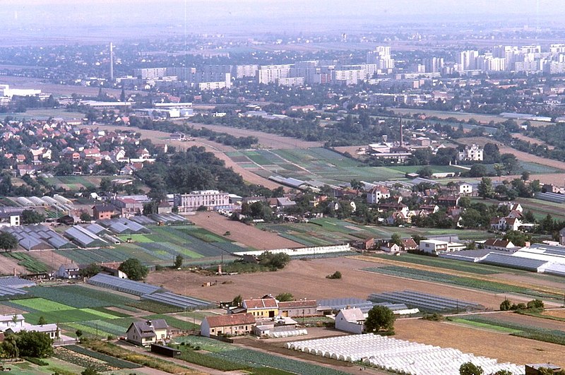 File:091L02310782 Blick vom Donauturm, Blick Richtung Leopoldau - Kagran, Bereich Donaufeld - Mühlschüttl, Gärtnerein, Bildmitte Rembrantin Lacke.jpg