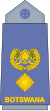 11.Botswana Air Force-LTC.svg