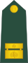 15-Slovenian Army-MAJ.svg