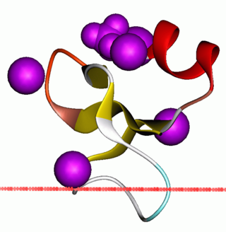 <span class="mw-page-title-main">Beta defensin</span>