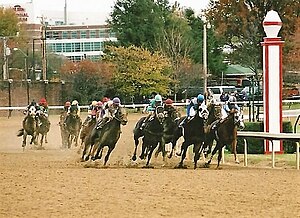 Churchill Downs