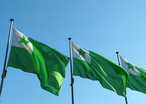 Esperantoflagg vaiende i vinden.