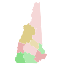 Results by county:
Sununu
Sununu--30-40%
Sununu--<30%
Edelblut
Edelblut--30-40%
Edelblut--40-50%
Forrester
Forrester--30-40%
Forrester--40-50% 2016 NH GOV GOP primary.svg