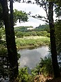 Le château de Bothané (en Guidel) dominant la rive gauche de la vallée de la Laïta (photo prise du GR 34E en forêt de Carnoët).