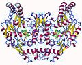 Vignette pour Oxyde nitrique synthase