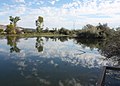3364 mcnary ponds fishing pond munsel odfw (15275058187).jpg