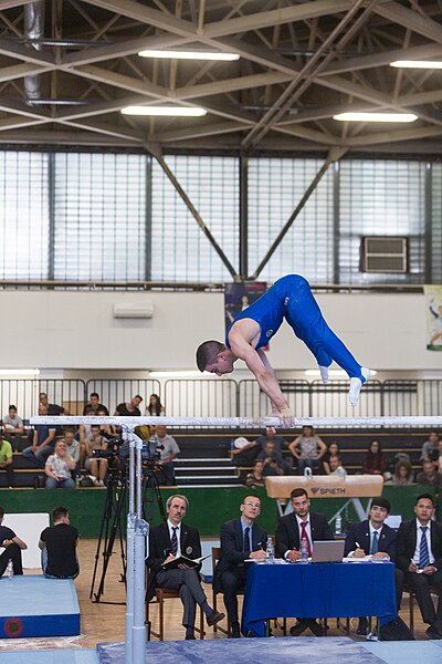 File:5th Budapest Cup 2019-05-26 Tiziano Perni (Norman Seibert) - 03300.jpg