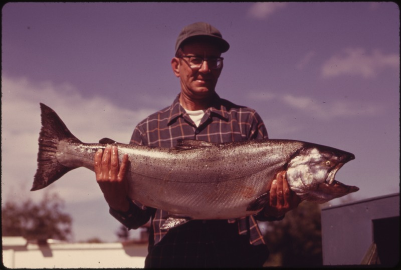 File:AL BREWER DISPLAYS A 35 POUND CHINOOK SALMON CAUGHT BY HIS WIFE ON THE LOWER SKAGIT RIVER NEAR LA CONNOR IN NORTHERN... - NARA - 552315.tif
