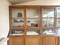 A Display of Fossils at the Sofia University "St. Kliment Ohridski" Museum of Paleontology and Historical Geology